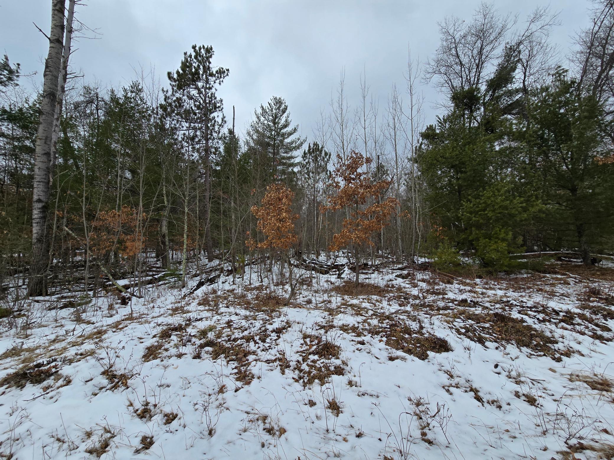 Lot 2 Long Lake Road Property Photo 6