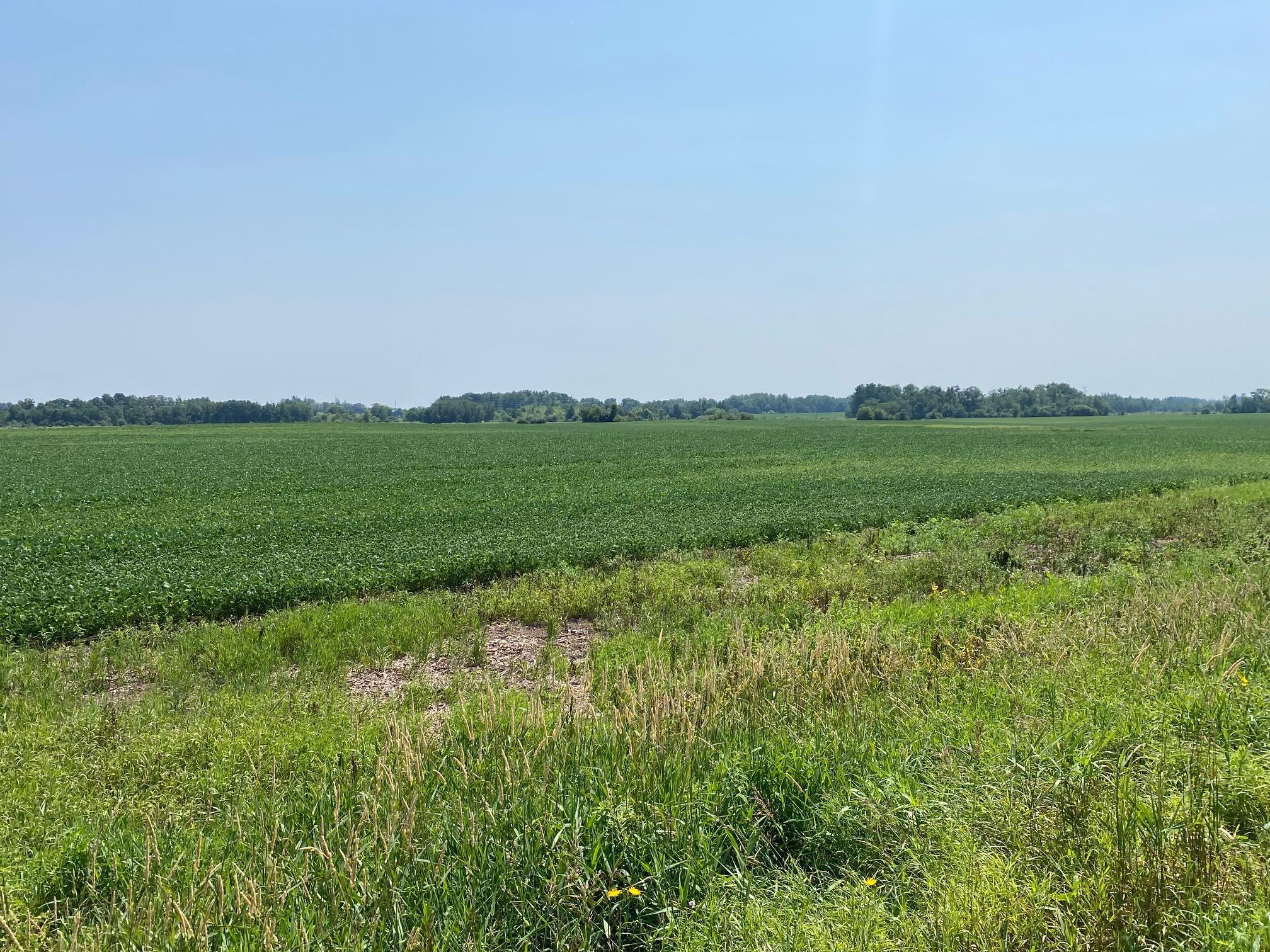 40525 Highway 65 Property Photo 1