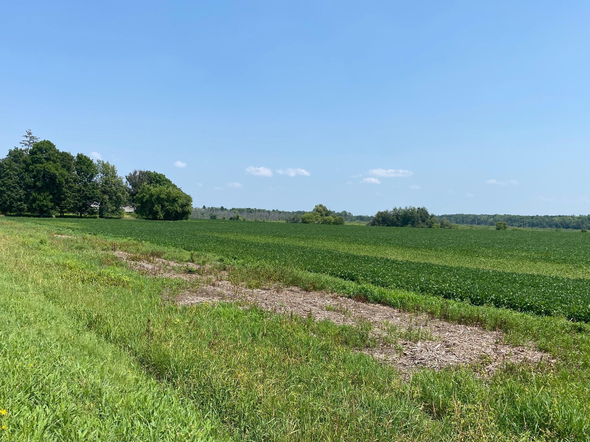 40525 Highway 65 Property Photo 2