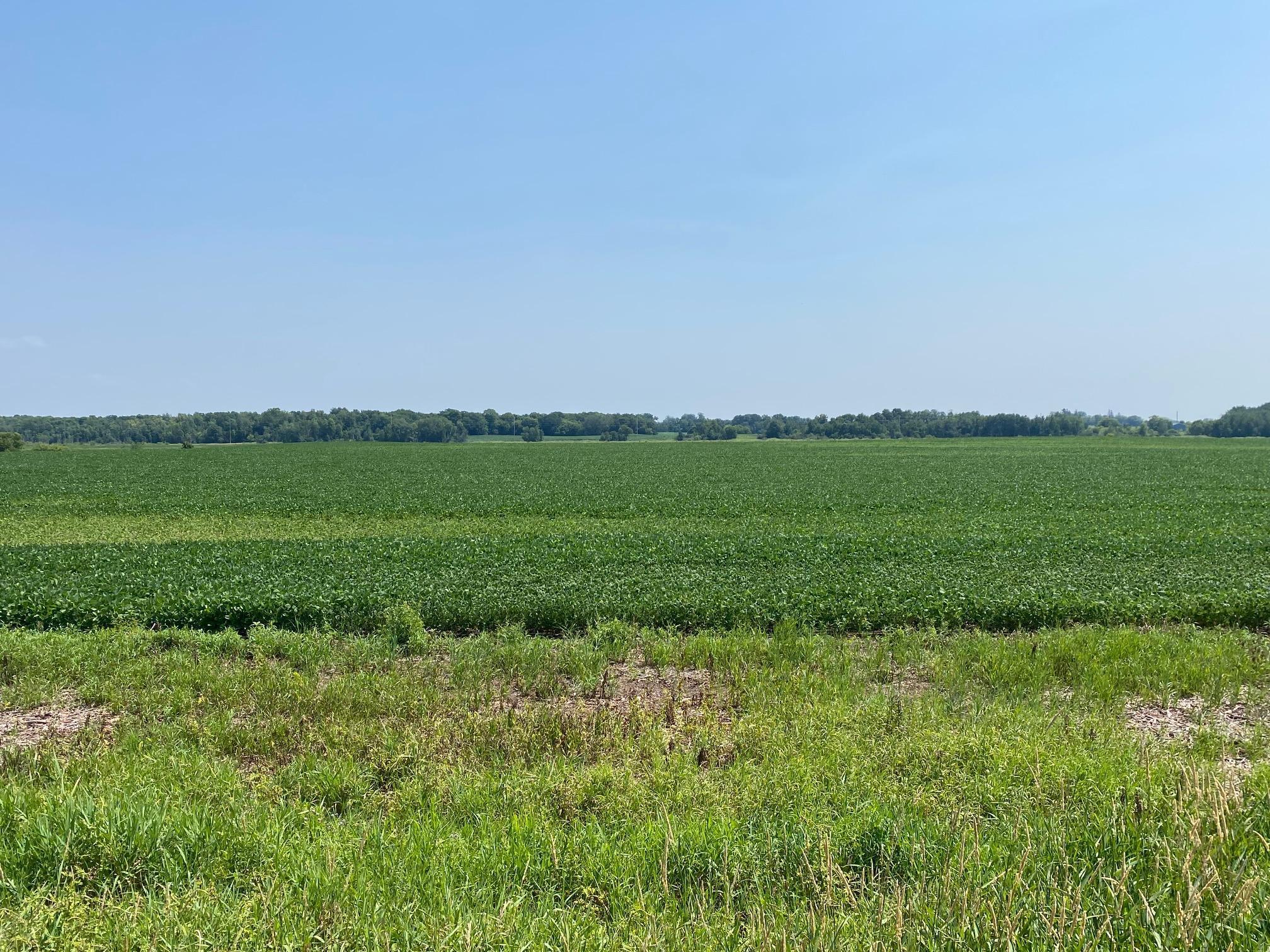 40525 Highway 65 Property Photo 3