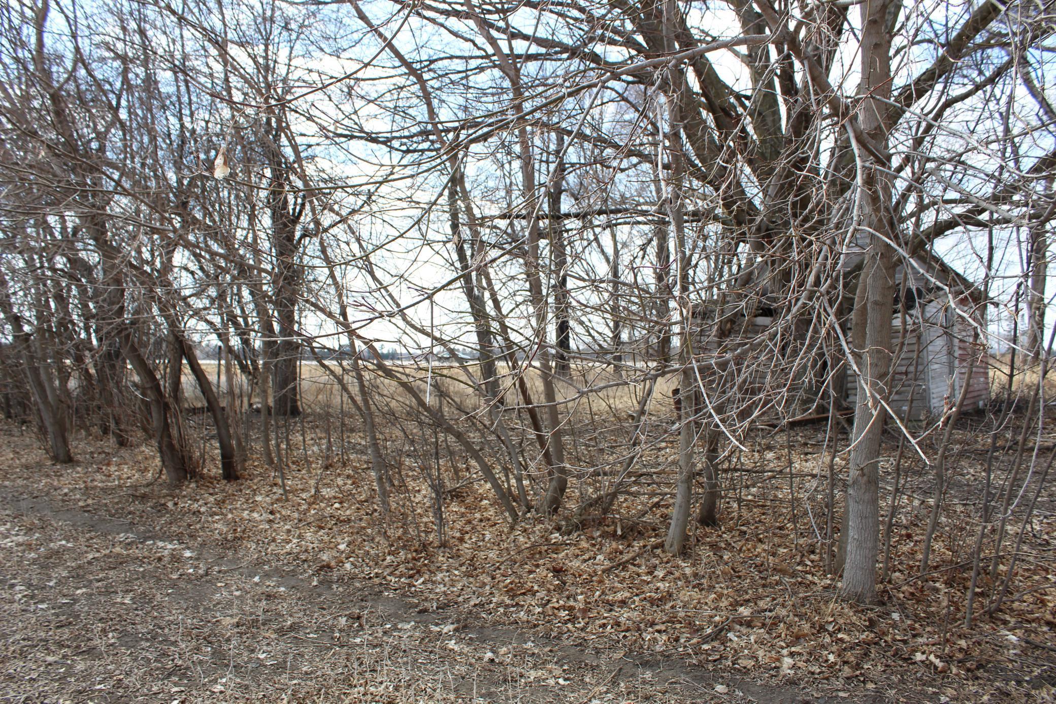40525 Highway 65 Property Photo 7