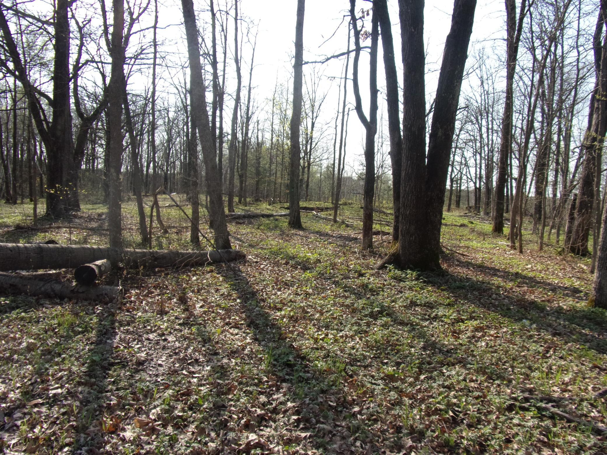 Lot 1 N Lake Drive Property Photo