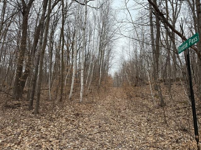 Lots 51-53 Grouse Pass Property Photo 1