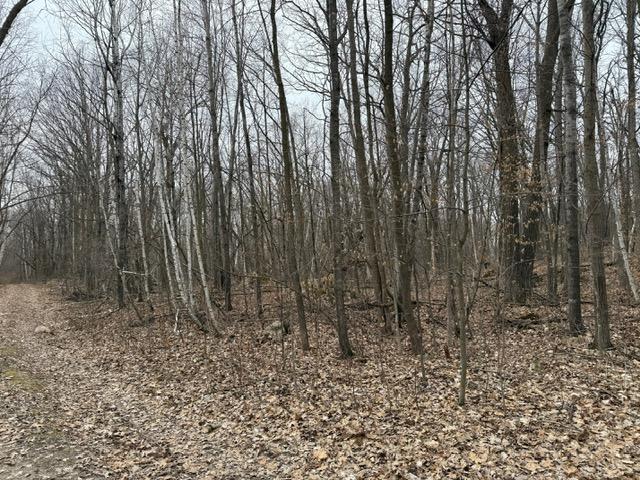 Lots 51-53 Grouse Pass Property Photo 2