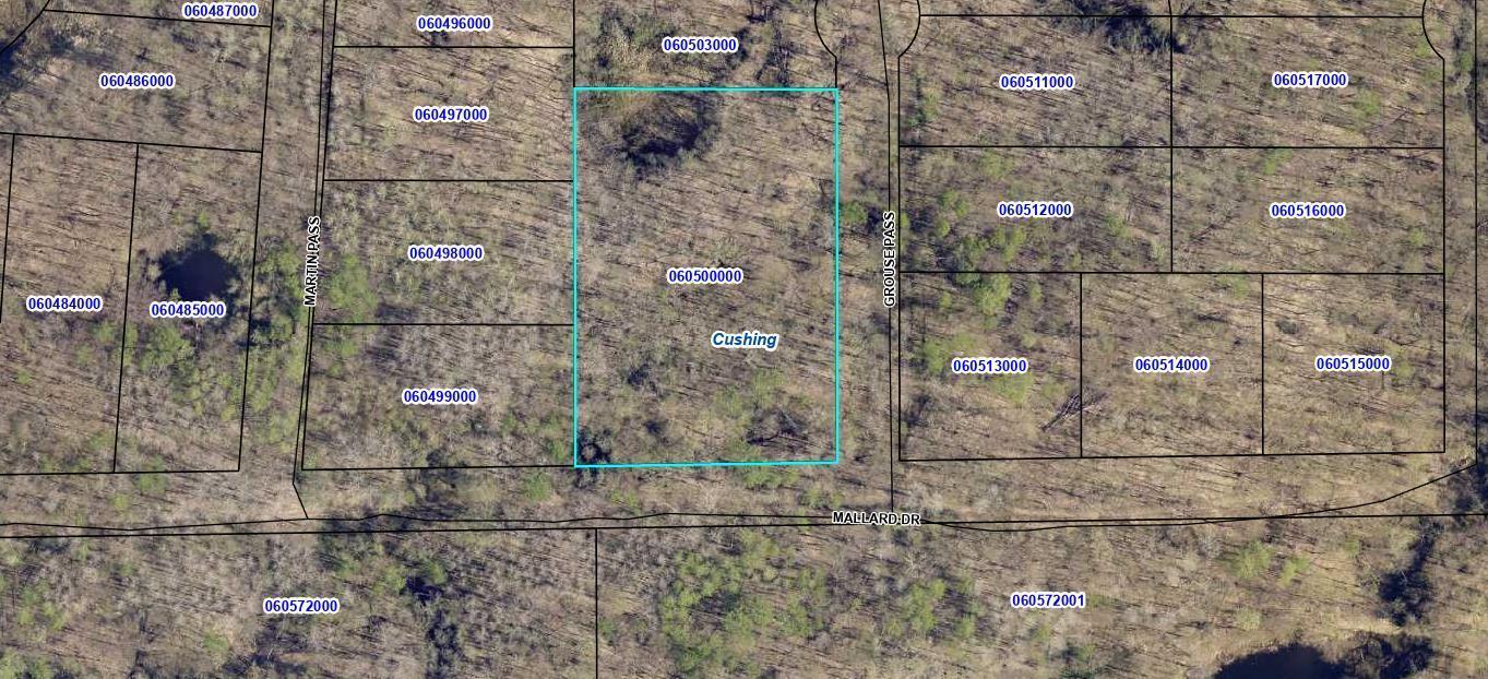 Lots 51-53 Grouse Pass Property Photo 3