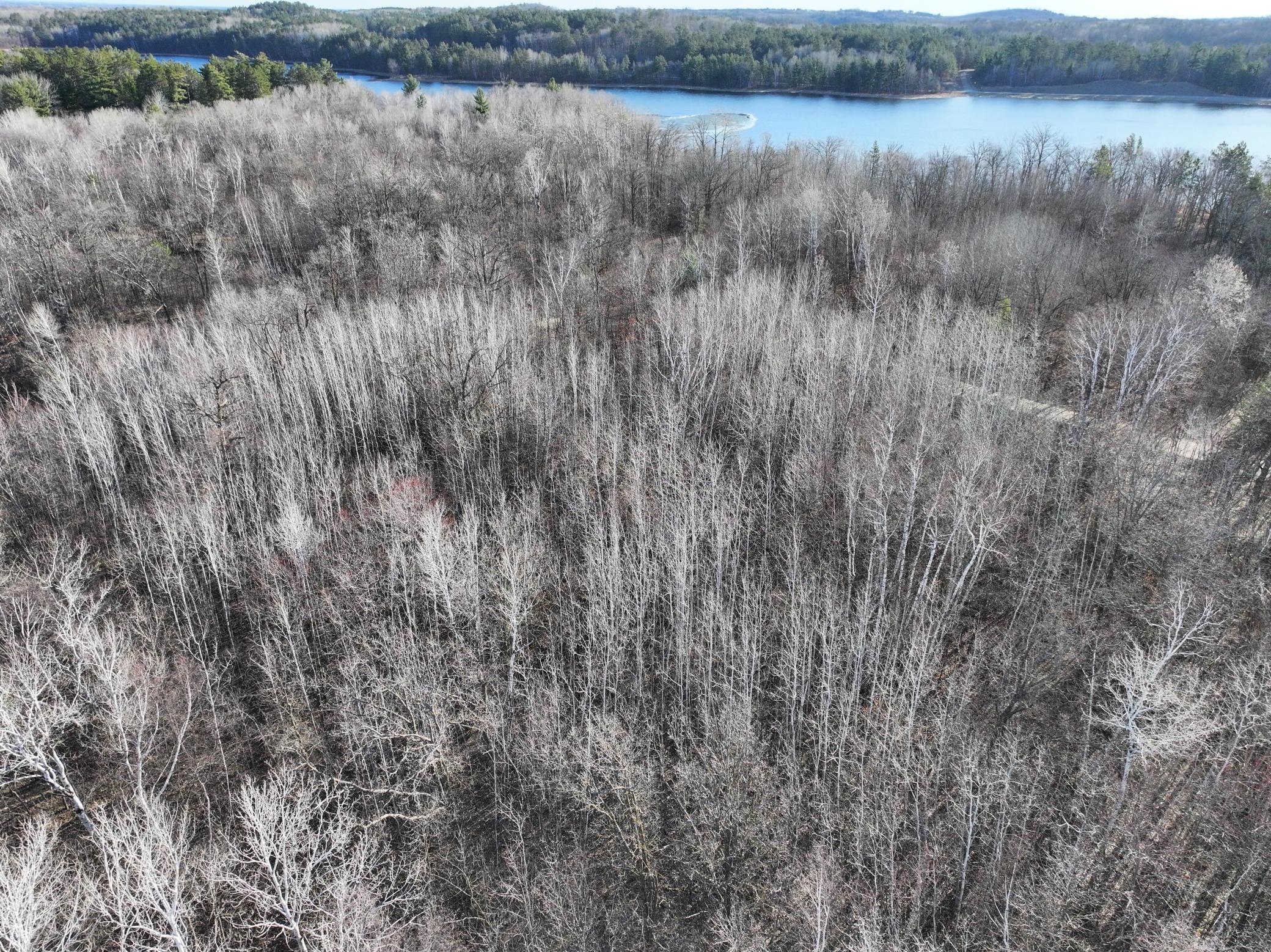 Tbd Bass Lake Road Property Photo 1