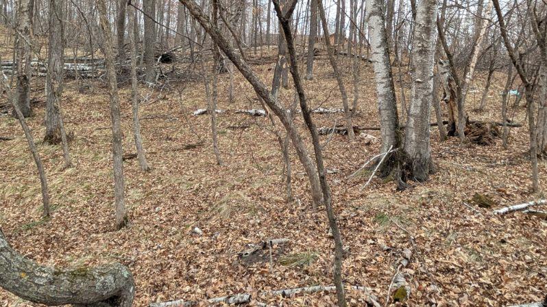 Xxx Castlewood Court Property Photo 4