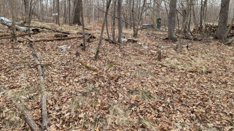 Xxx Castlewood Court Property Photo 5
