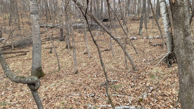 Xxx Castlewood Court Property Photo 7