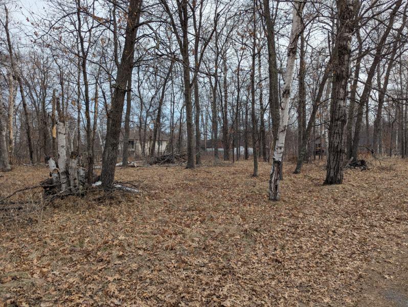 Lot 21 B0 Birch Lane Property Photo 5