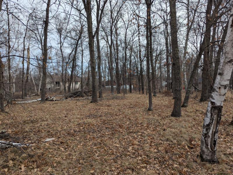 Lot 21 B0 Birch Lane Property Photo 6
