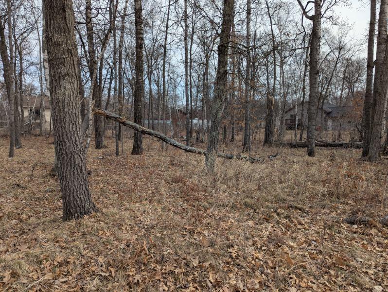 Lot 21 B0 Birch Lane Property Photo 7