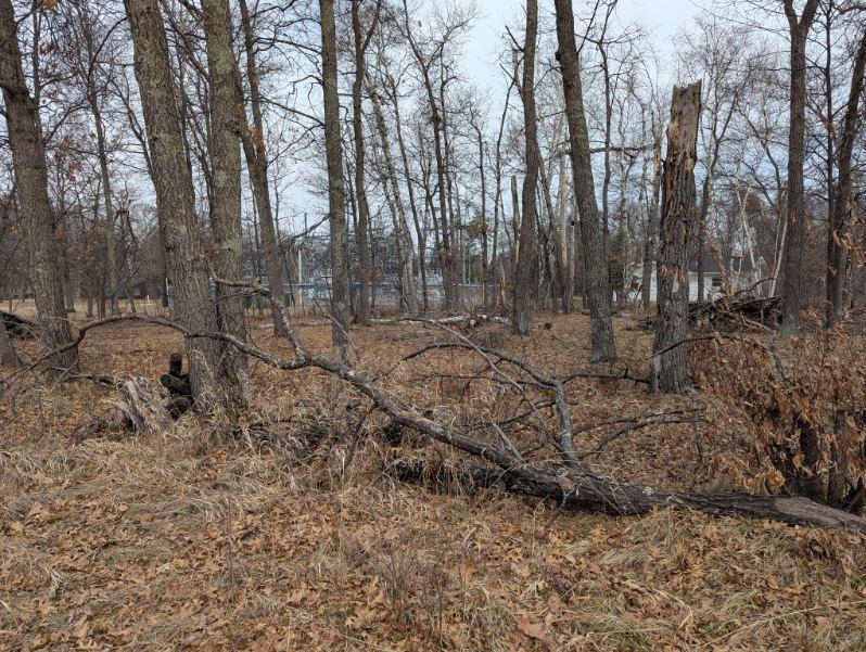 Lot 21 B0 Birch Lane Property Photo 8