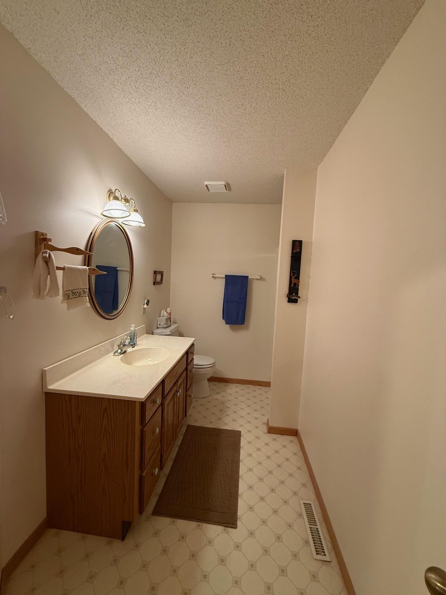 25006 Great Pine Drive Property Photo 22