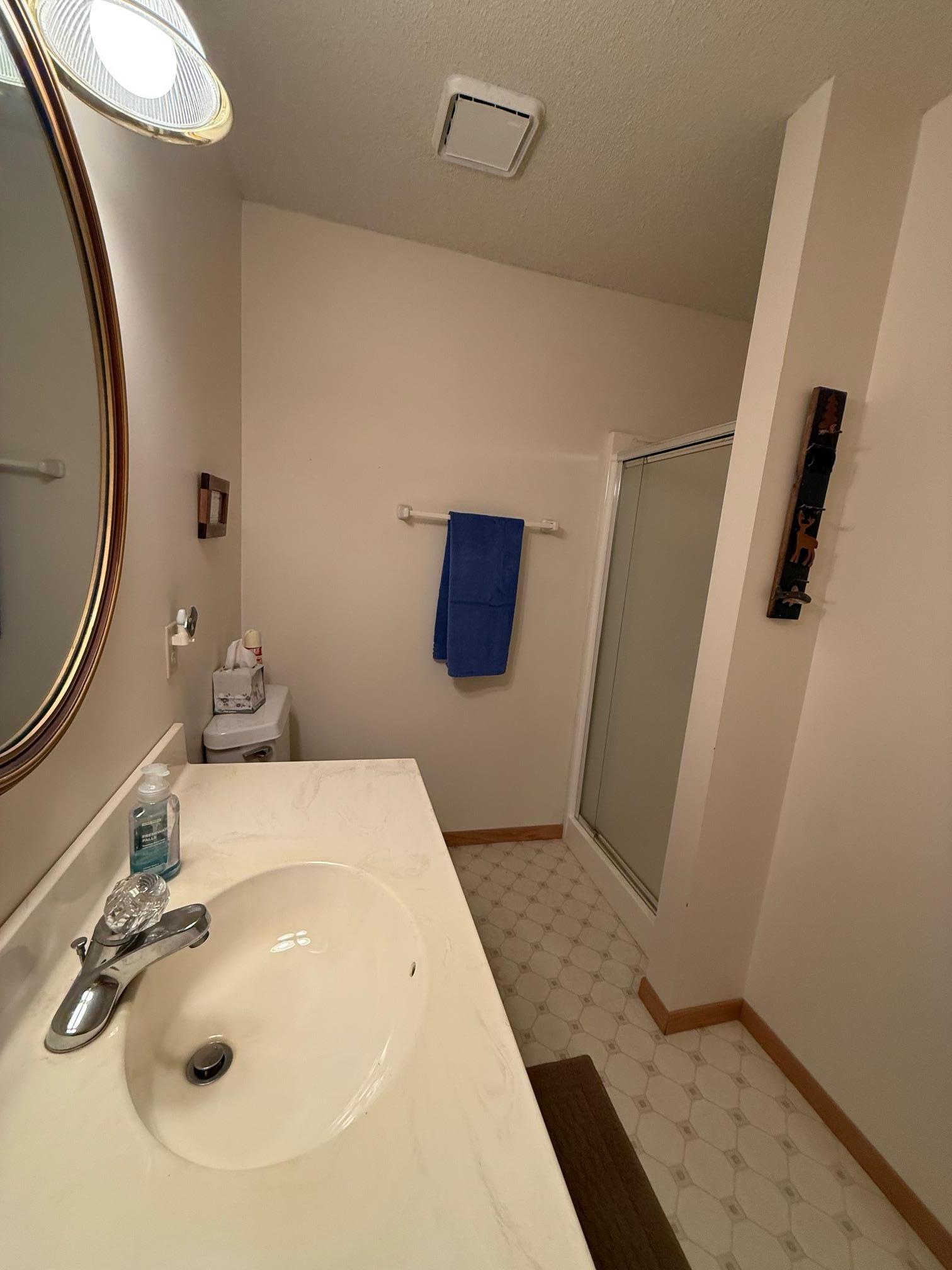 25006 Great Pine Drive Property Photo 23