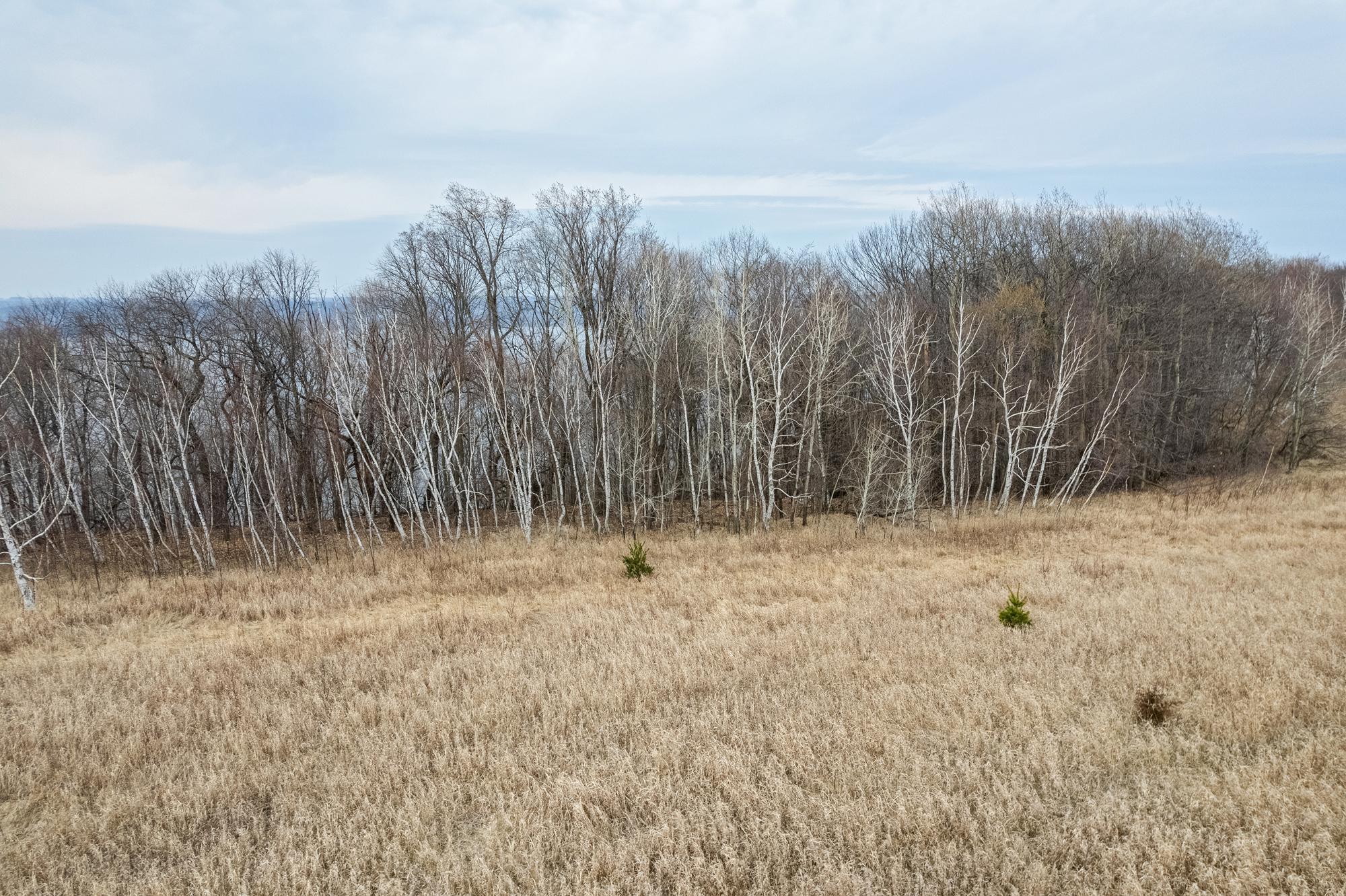 Xxx 709th Street Property Photo 14