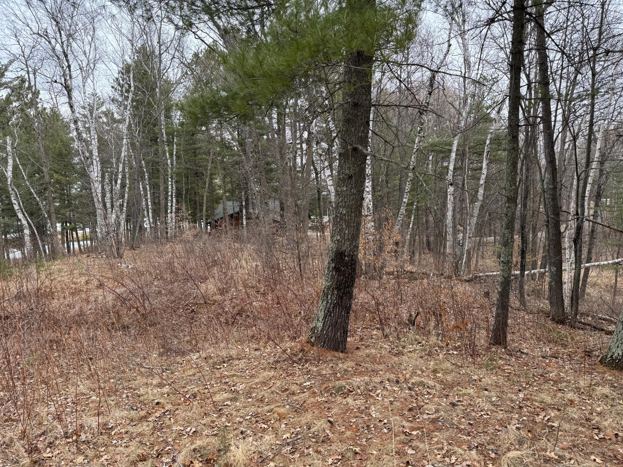 Tbd Miller Bay Lane Property Photo 11