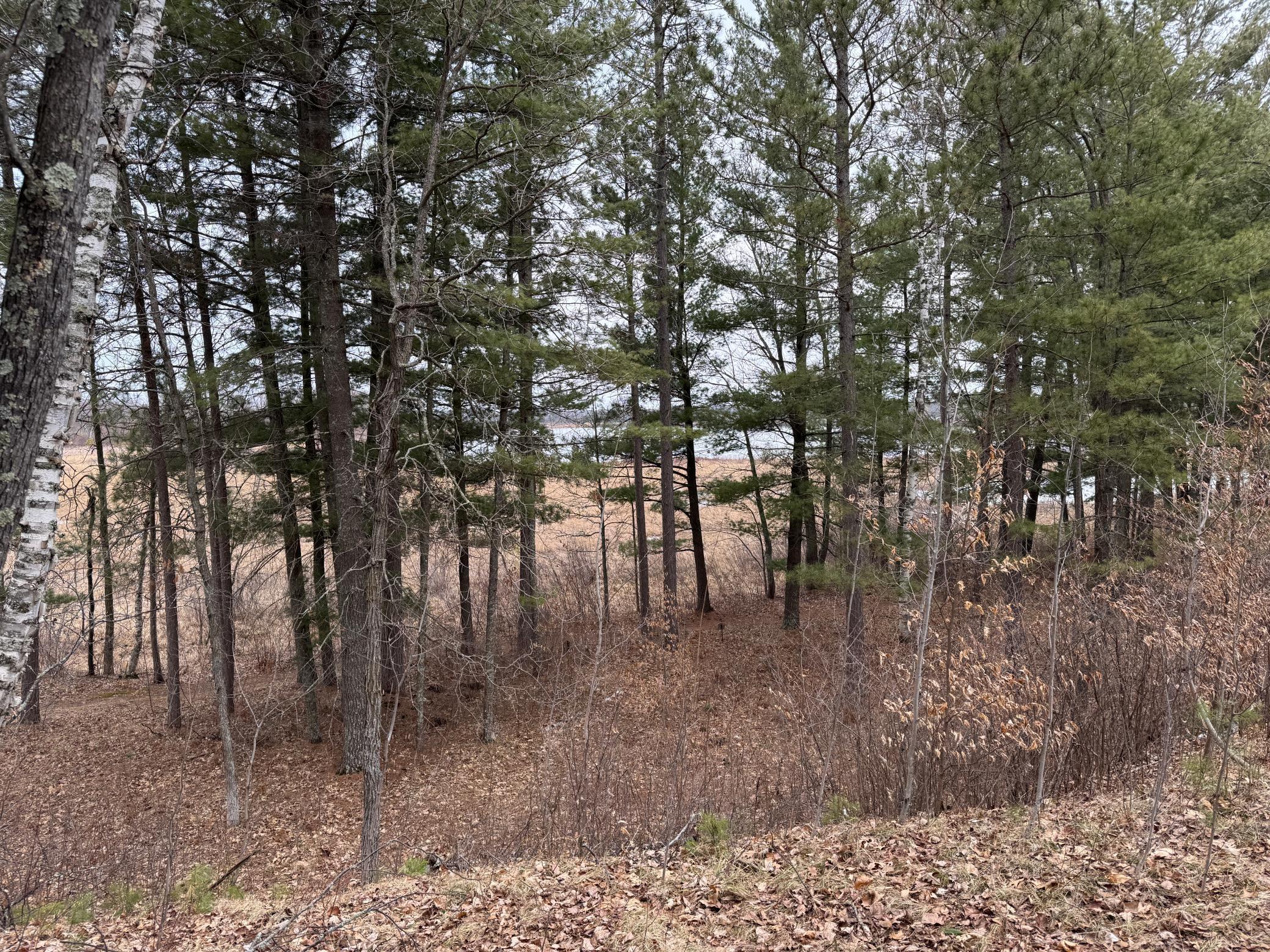 Tbd Miller Bay Lane Property Photo 13