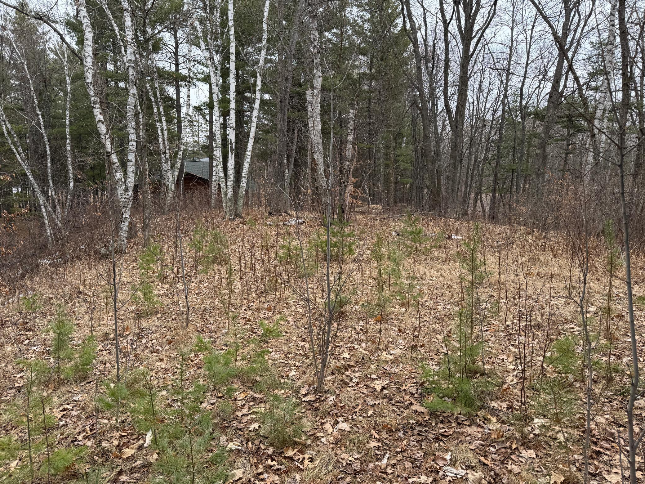 Tbd Miller Bay Lane Property Photo 14