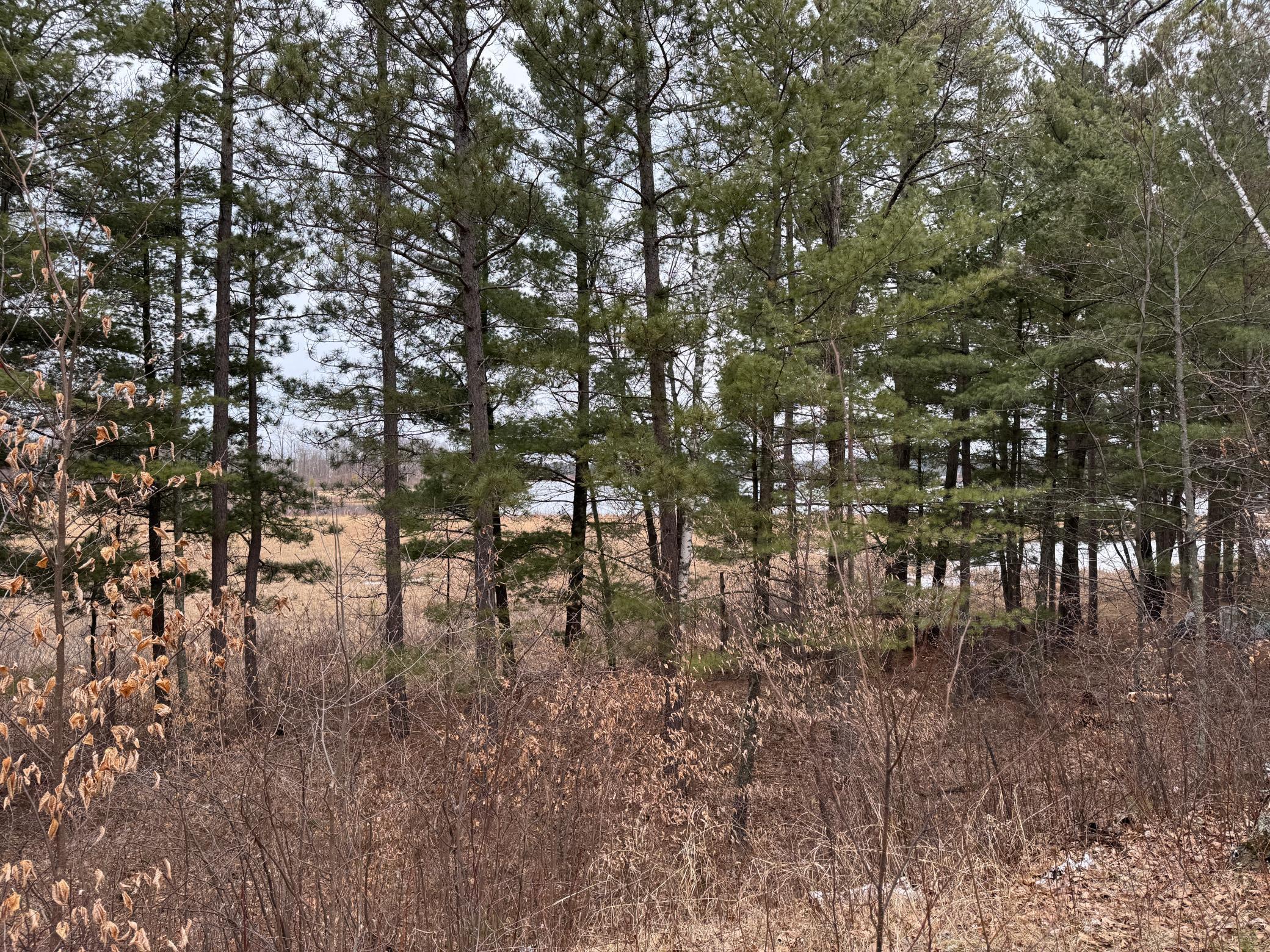 Tbd Miller Bay Lane Property Photo 15