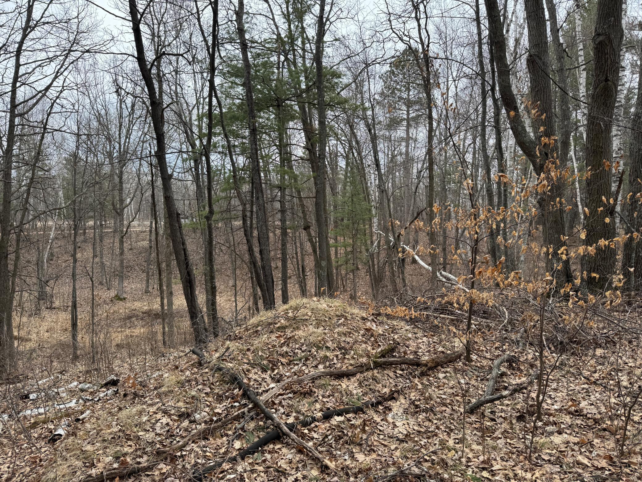 Tbd Miller Bay Lane Property Photo 16