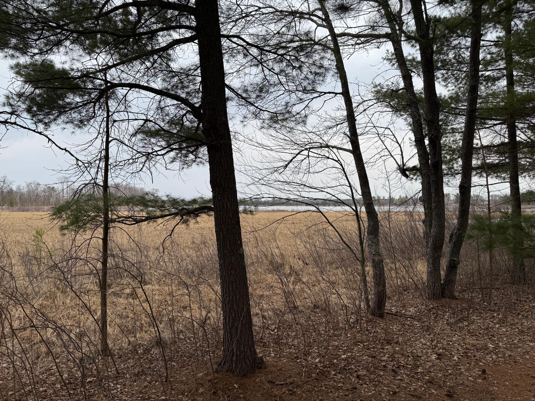 Tbd Miller Bay Lane Property Photo 19