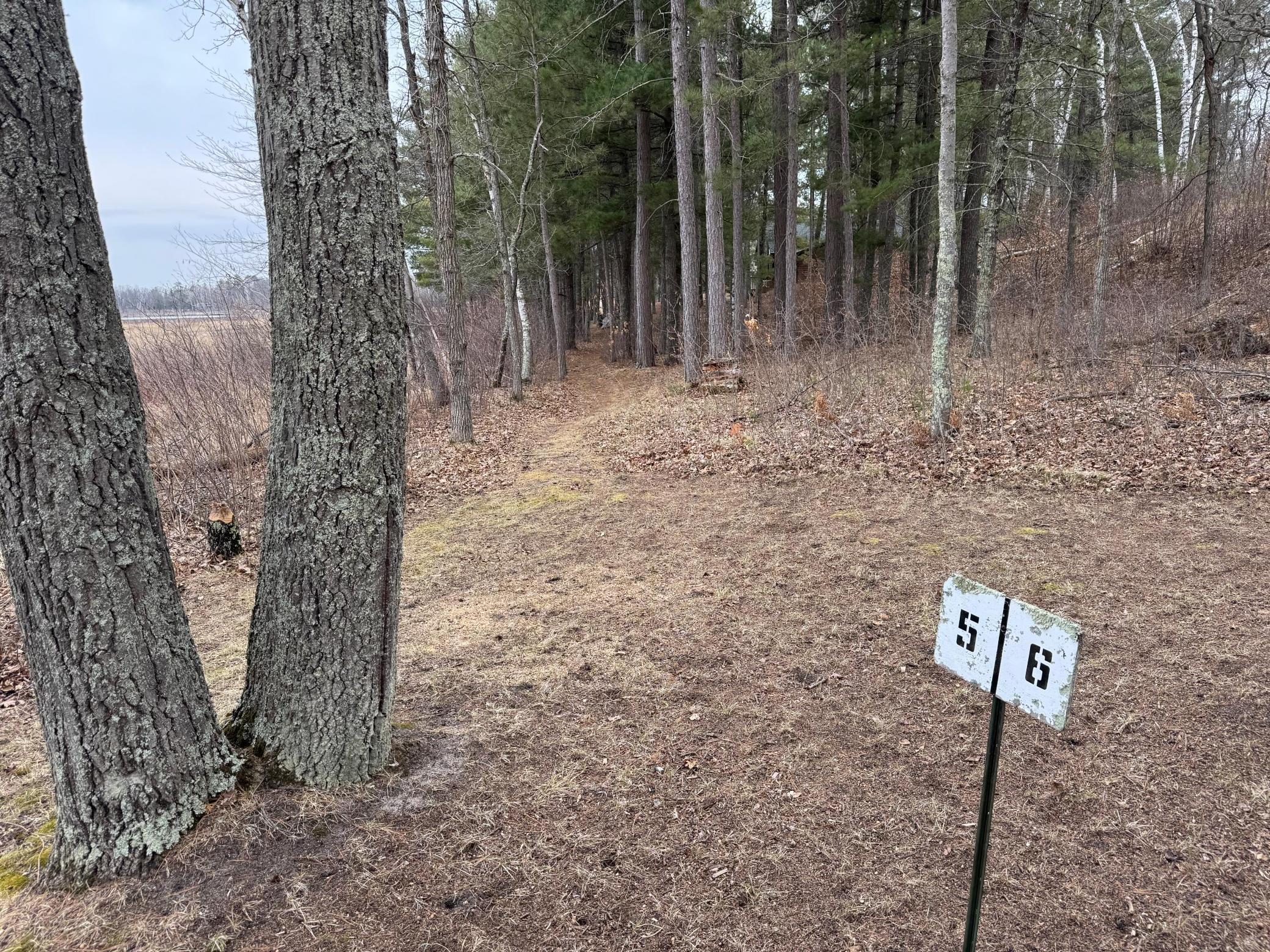 Tbd Miller Bay Lane Property Photo 22