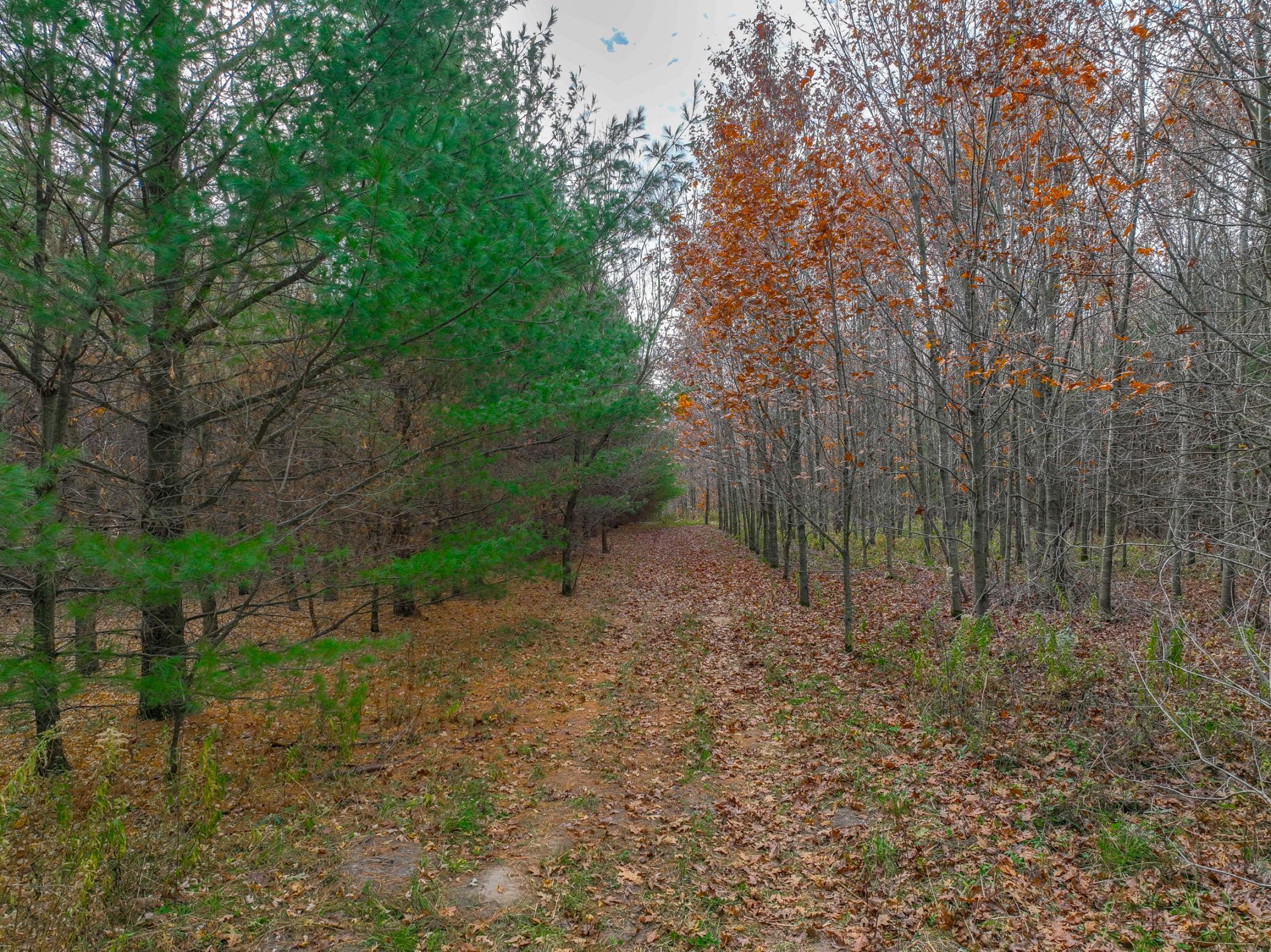 Xxx Lot #13 110th Avenue Property Photo 4