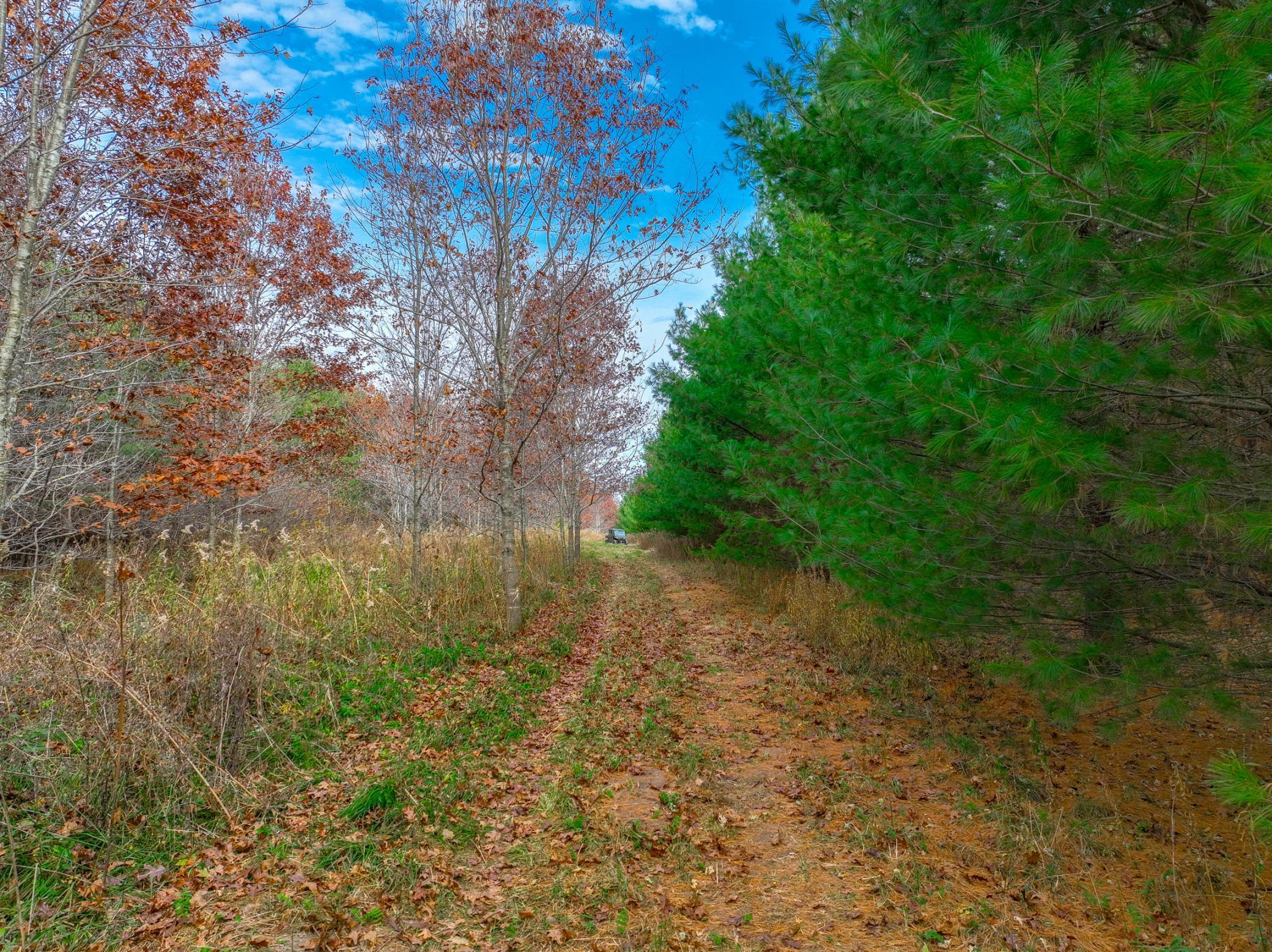 Xxx Lot#15 110th Avenue Property Photo 5