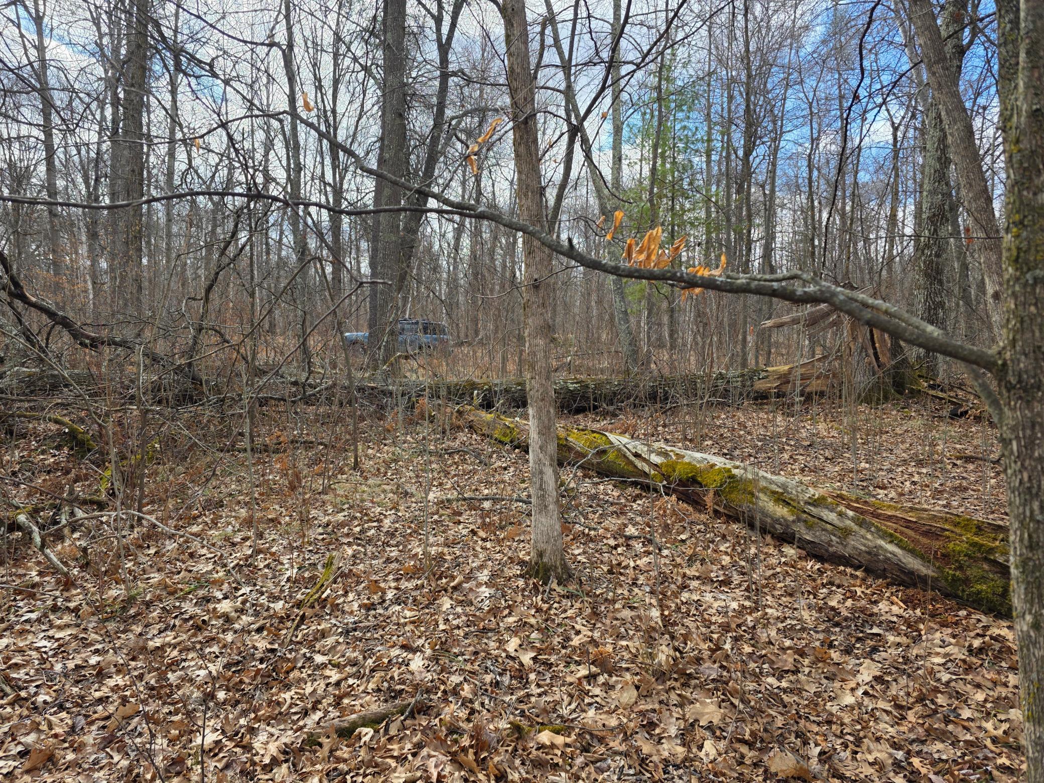 Xxxx Jengeough Road Property Photo 1