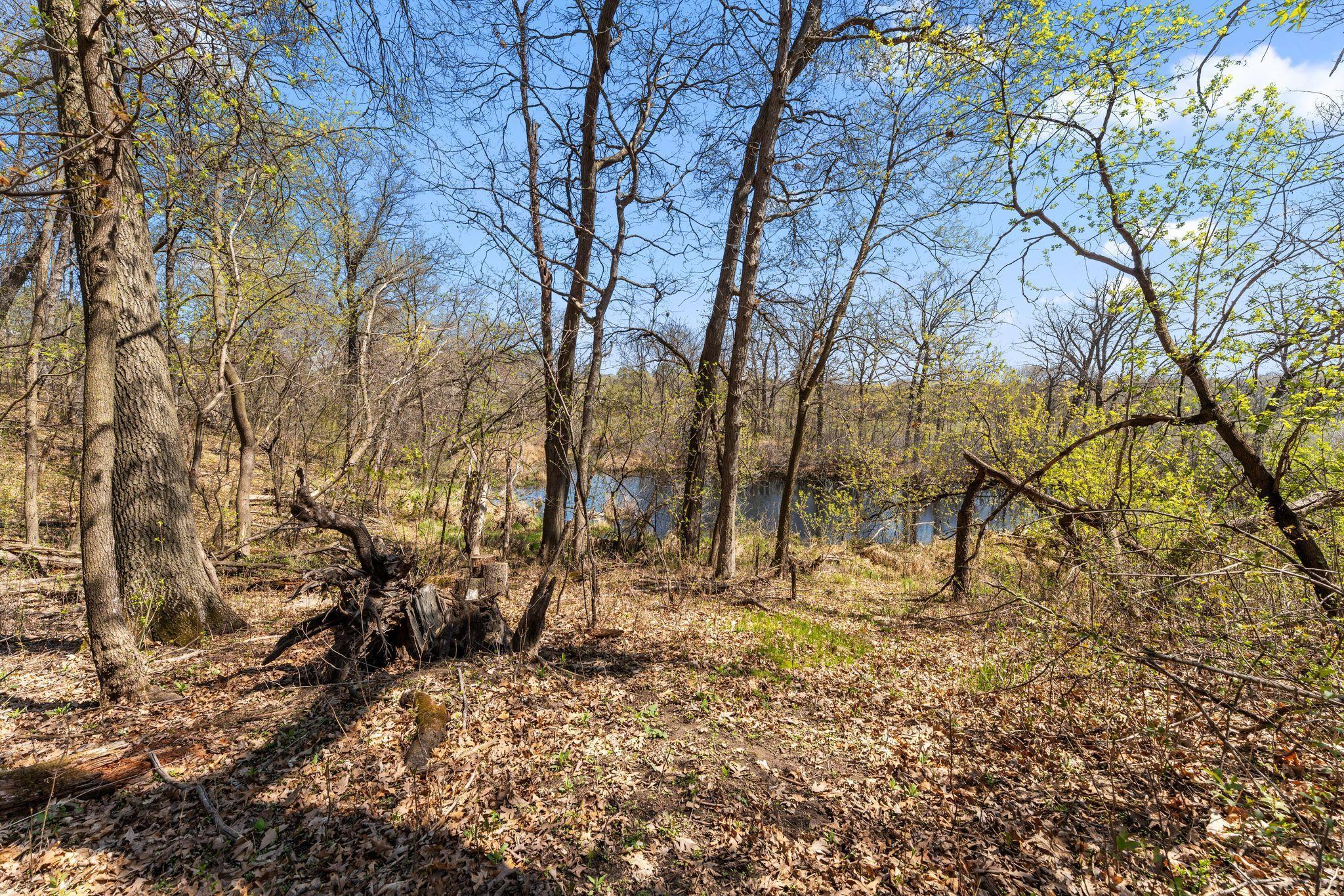 556 County Road C W Property Photo 25