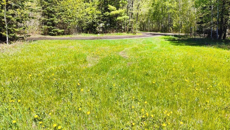 80012 Conifer Crest Property Photo 3