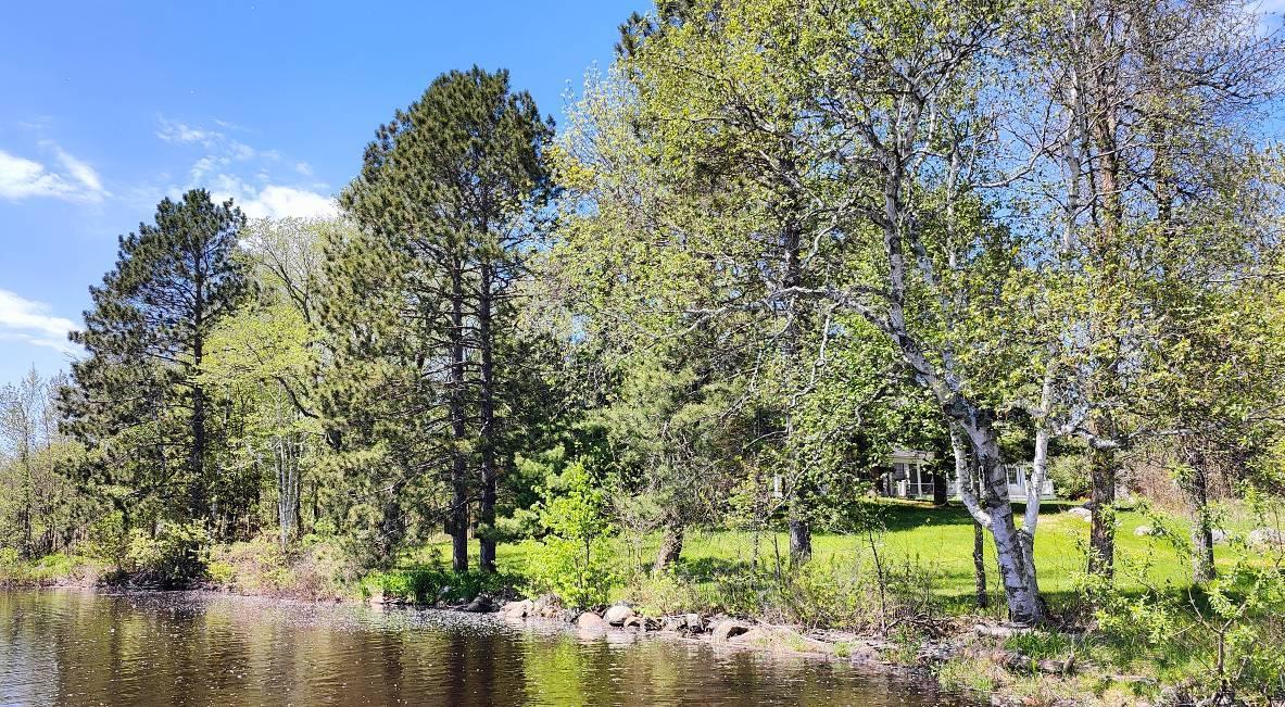 80012 Conifer Crest Property Photo 11