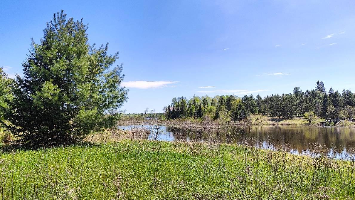 80052 Tamarack Trail Property Photo 20