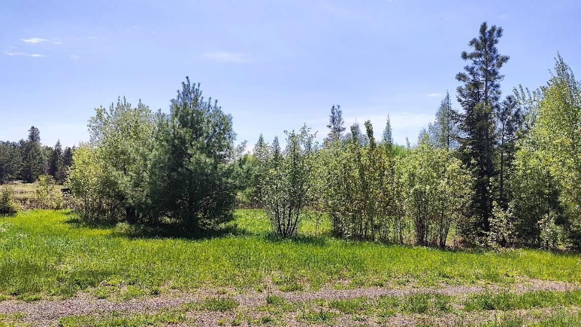 80052 Tamarack Trail Property Photo 21