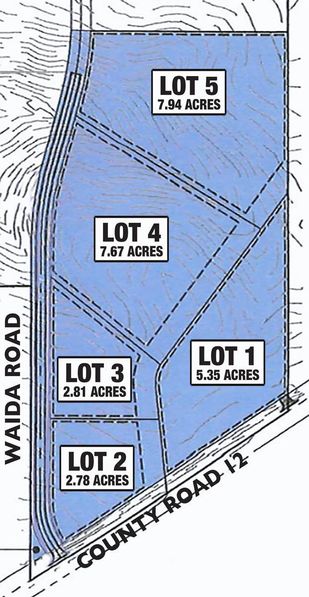TBD Lot 4 Waida Road Property Photo 1