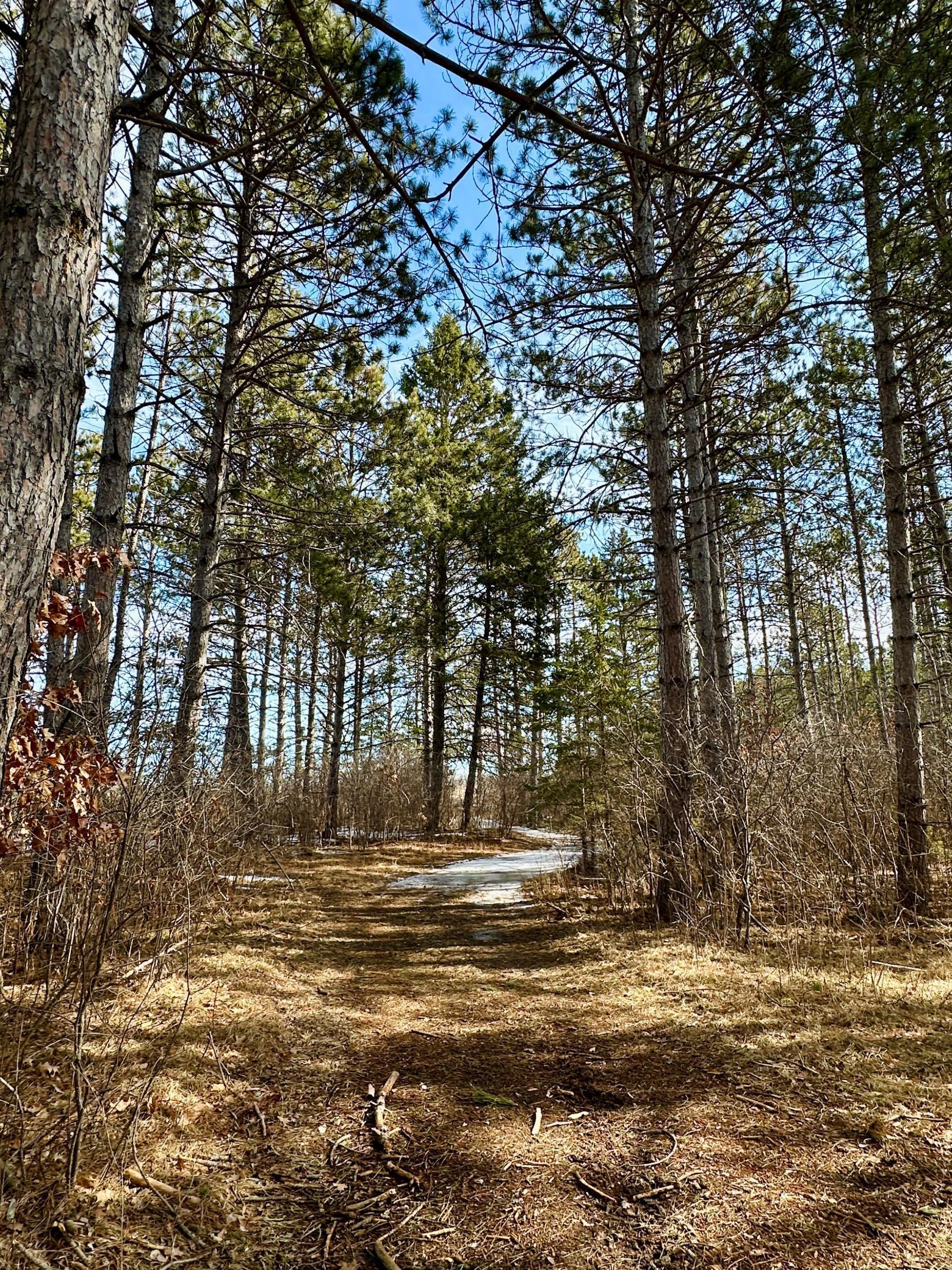 32738 Us-71 Property Photo 56