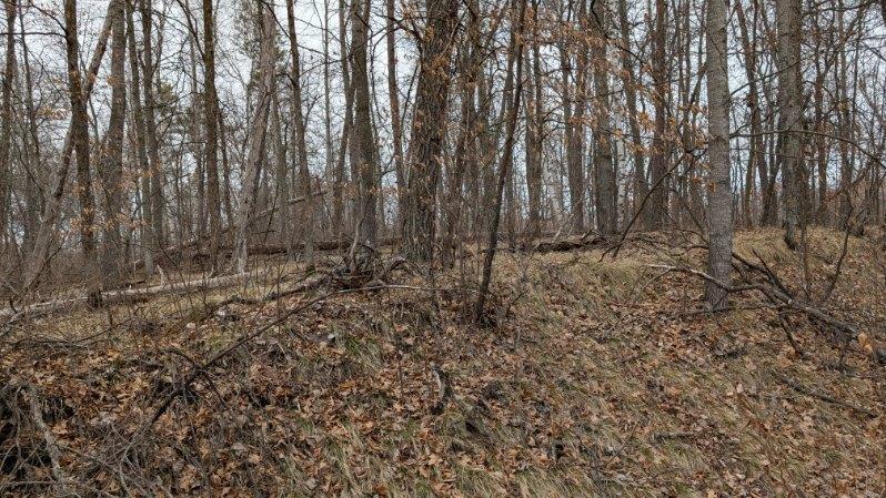 Xxx County Road 11 Property Photo 4