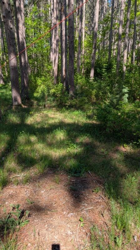 3823 County Road 17 Property Photo 3