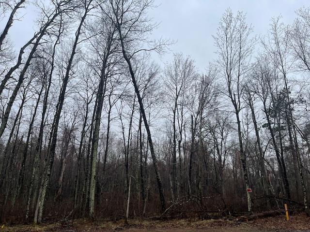0 Levi Lane Property Photo 2