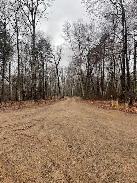 0 Levi Lane Property Photo 4