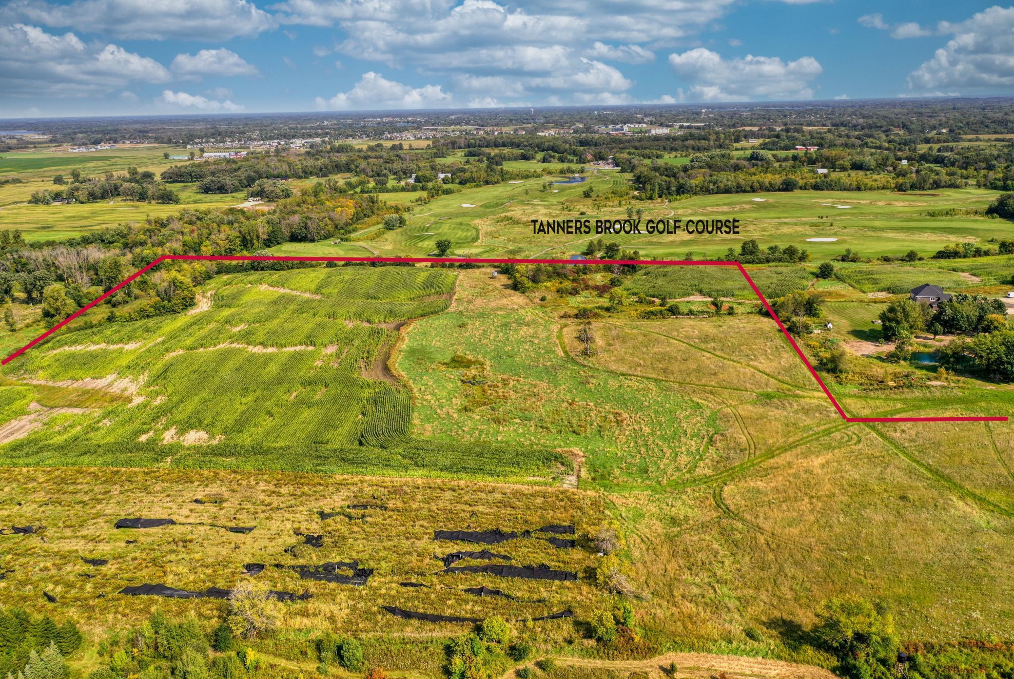 Xxxx Forest Road Property Photo 5