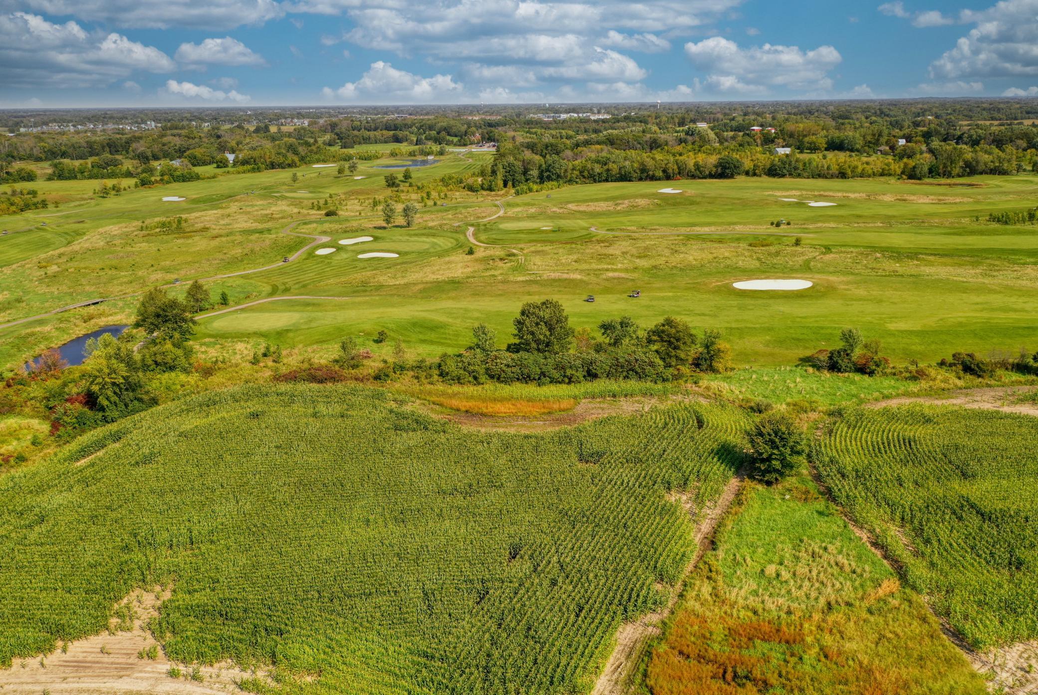 Xxxx Forest Road Property Photo 10