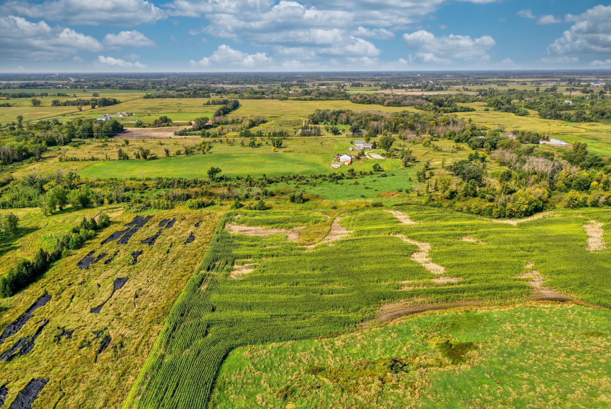 Xxxx Forest Road Property Photo 12