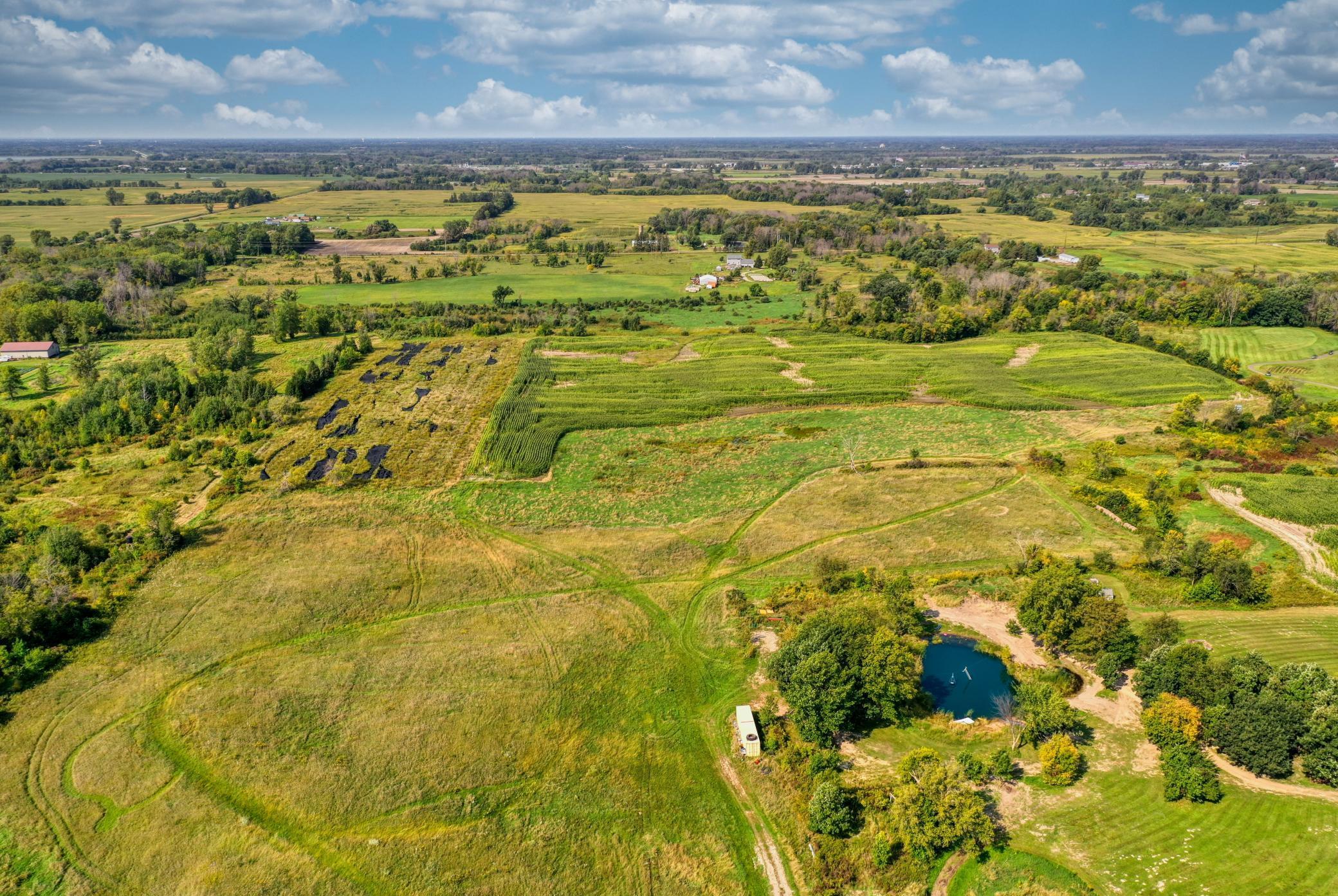 Xxxx Forest Road Property Photo 18
