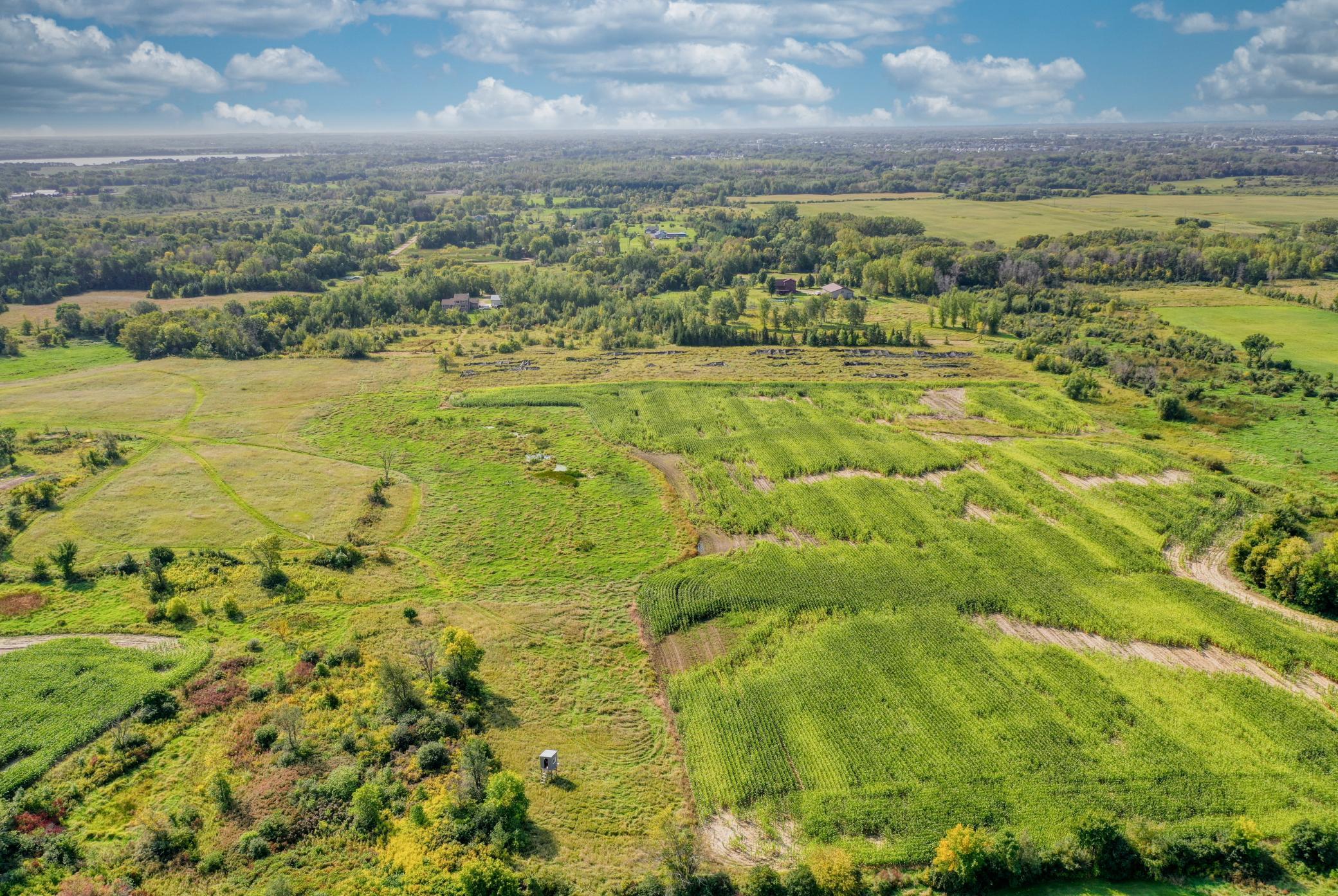 Xxxx Forest Road Property Photo 23