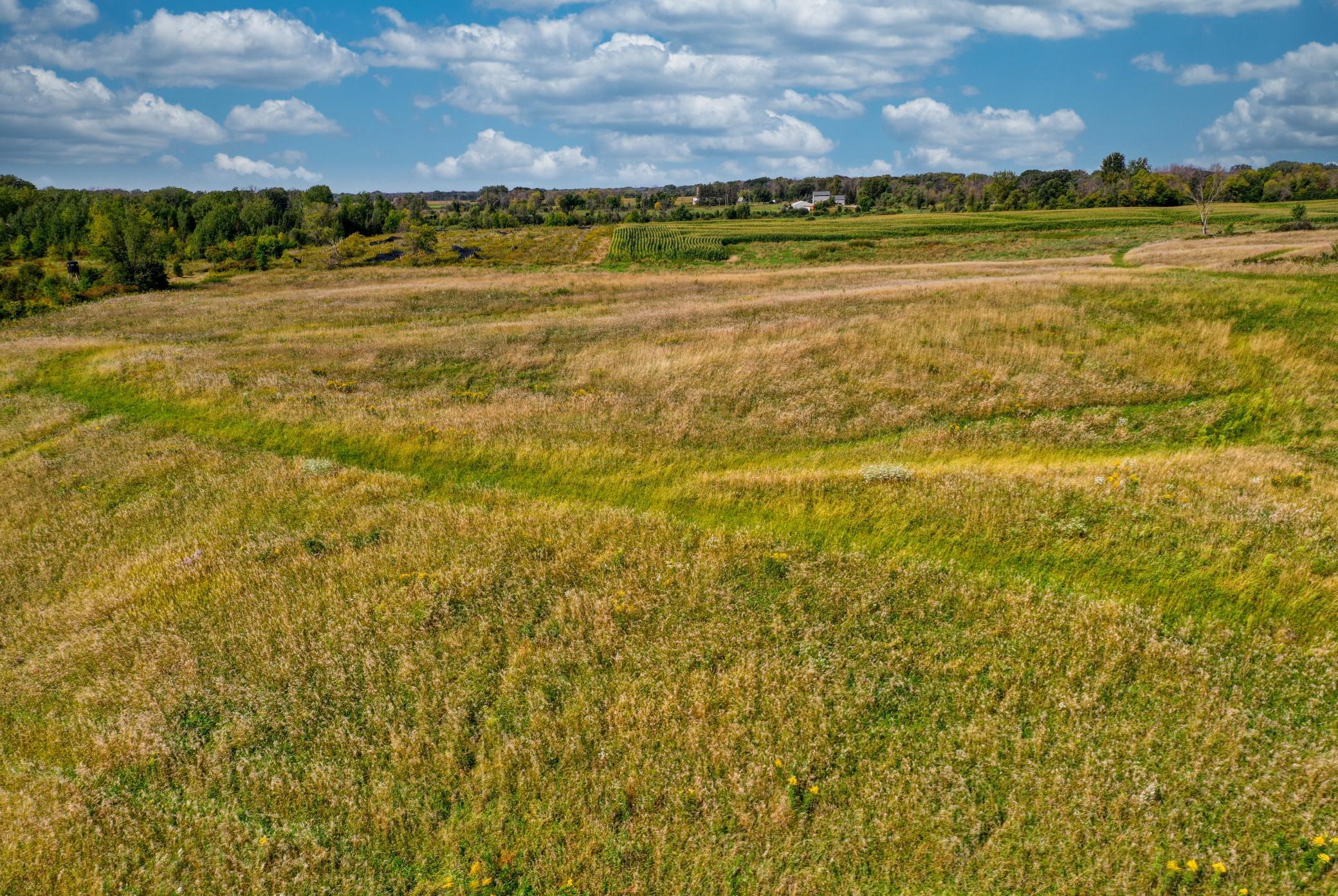 Xxxx Forest Road Property Photo 25