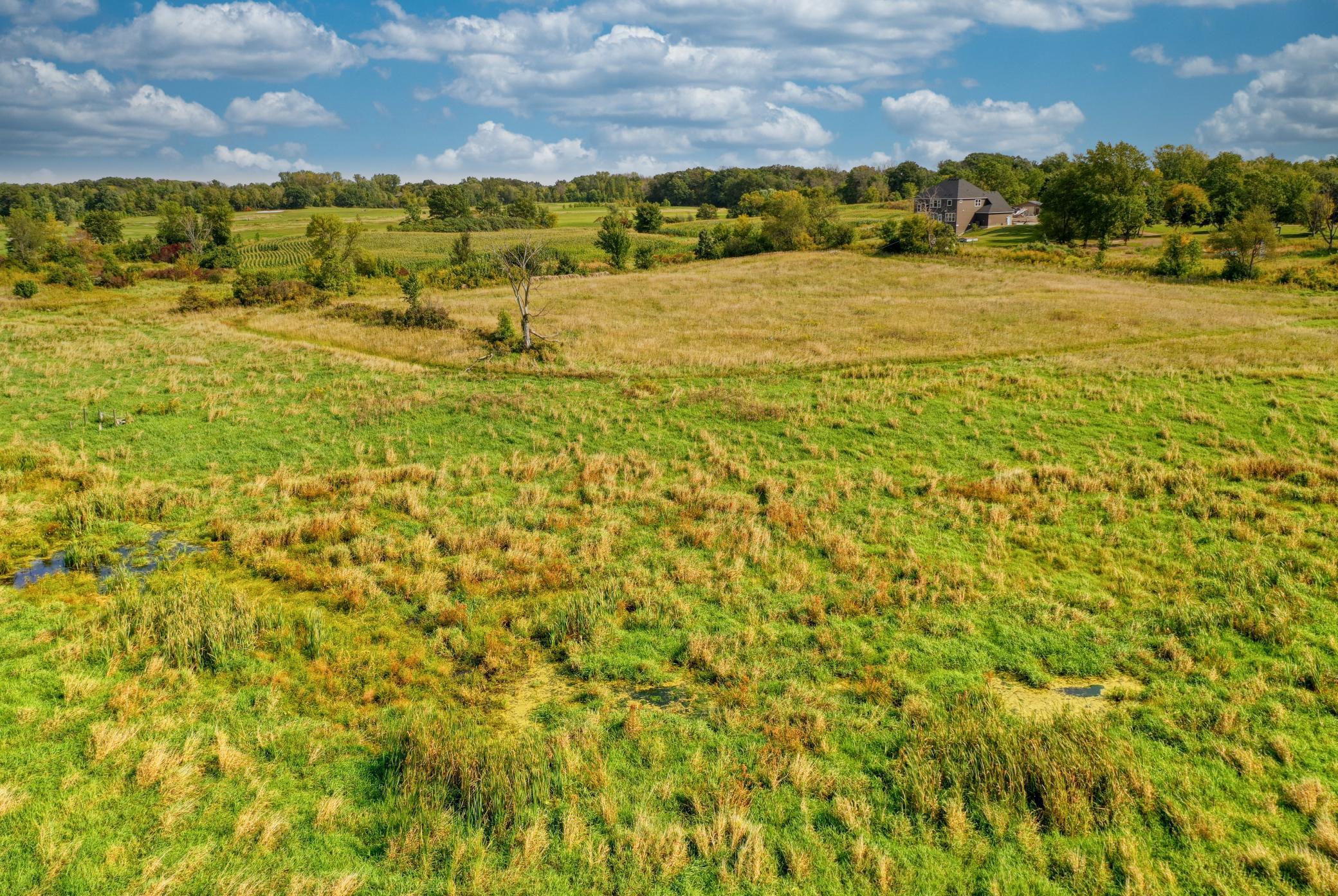 Xxxx Forest Road Property Photo 30