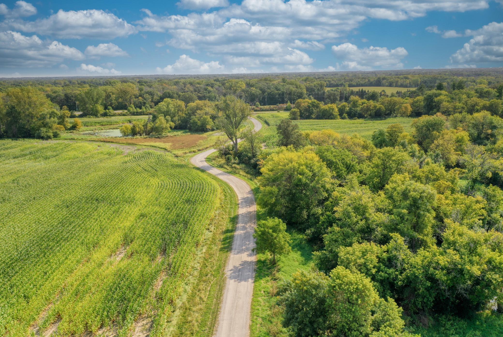 Xxxx Forest Road Property Photo 32