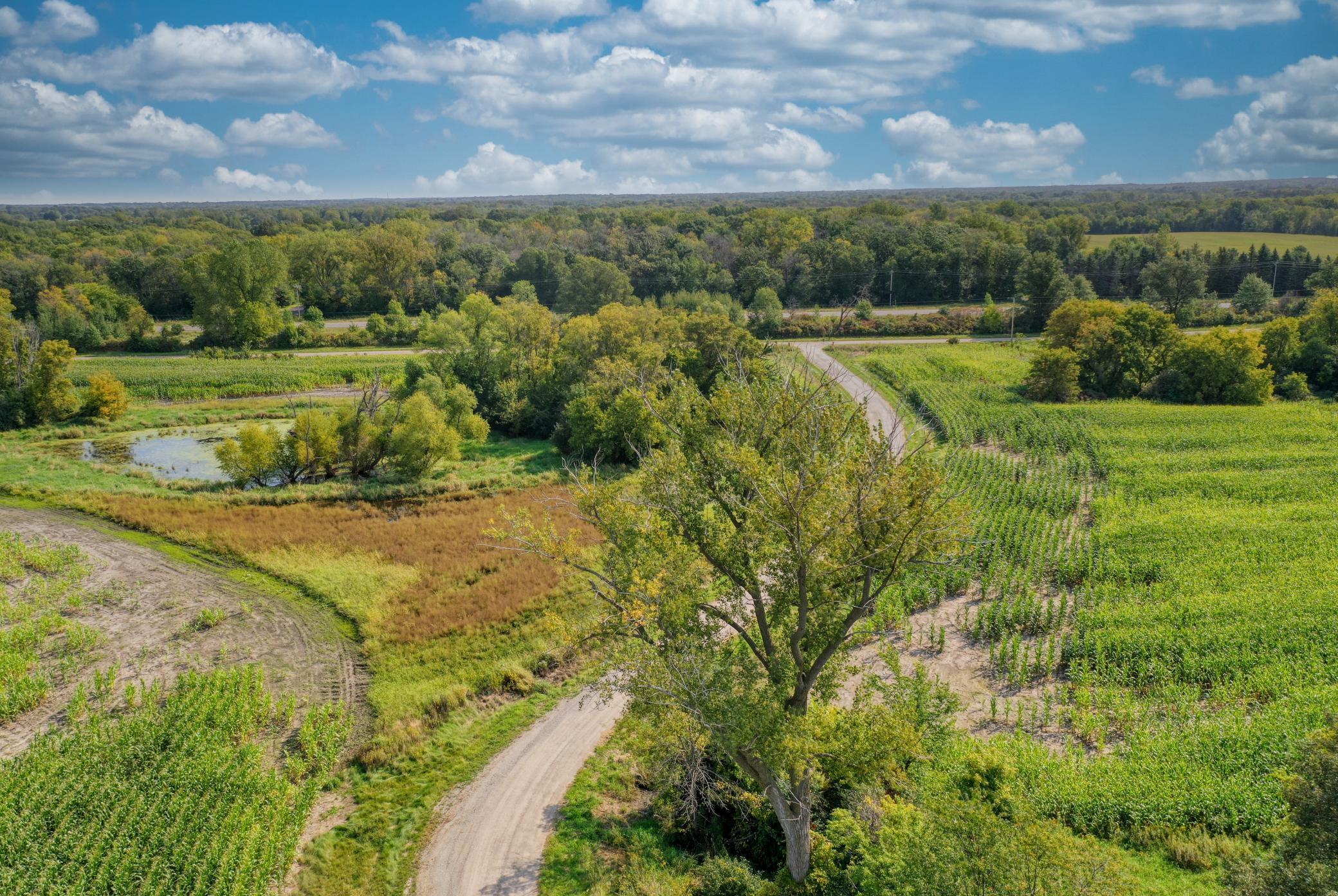 Xxxx Forest Road Property Photo 34